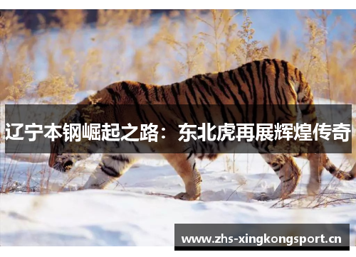 辽宁本钢崛起之路:东北虎再展辉煌传奇 辽宁本钢崛起之路:东北虎再展辉煌传奇
